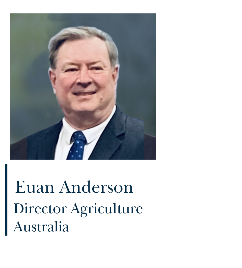 Image Area